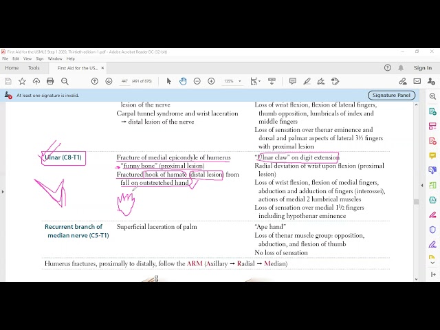 Anatomy | First Aid | Musculoskeletal