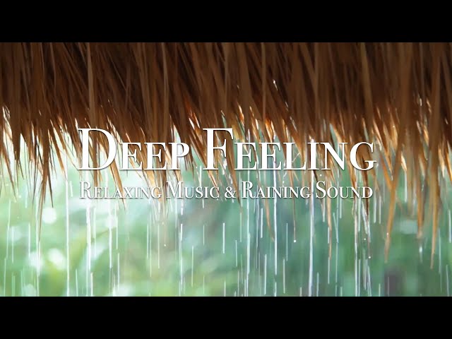 Beautiful Relaxing Music & Raining Sounds - Sleep Music for Meditation, Stress Relief