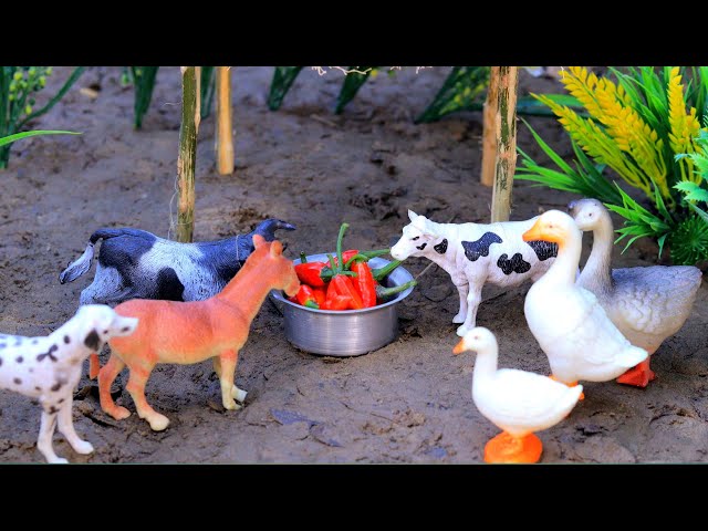 animal video, mini tractor, bommalu, horse video, dog, cattle, amba, Cow video | Nov 21, 20247:35 AM