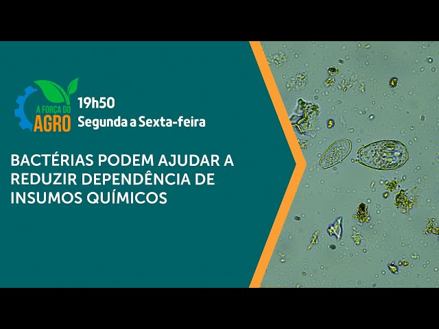 A Força do Agro - Bactérias podem ajudar a reduzir dependência de insumos químicos