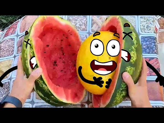 Top comedy illustrator shares fruit surgery botches and other pranks #doodles #animation #cartoon