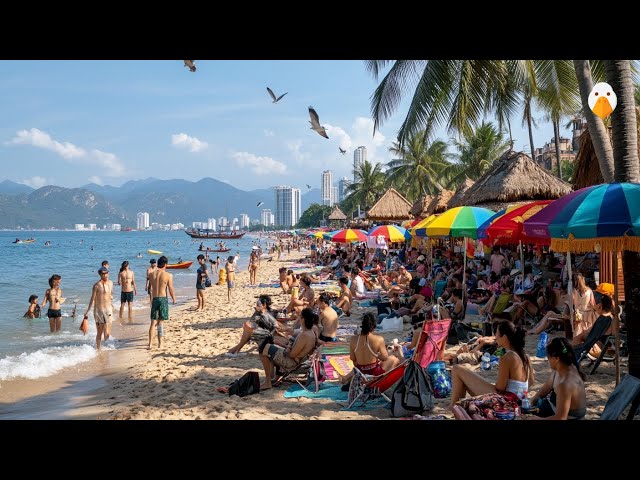 Nha Trang, Việt Nam🇻🇳 Thành phố nghỉ dưỡng ven biển thư giãn nhất Việt Nam (4K UHD)