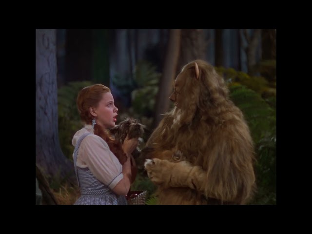 The Wizard of Oz Dorothy slaps Cowardly Lion and smirks 4K