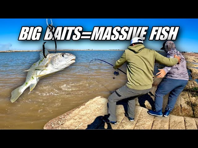 This is Why I Use HUGE Baits at The JETTY!