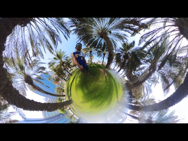 PALM DATES PLANT@insta360@AtanVlog