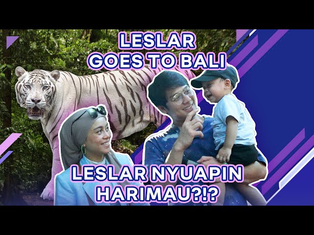 KELILING BALI ZOO BERSAMA BUAYA DARAT?!? LESLAR KE KAMPUNG SUMATRA?!?