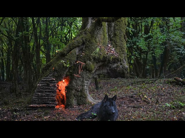 Camping and survival inside big tree in heavy rain