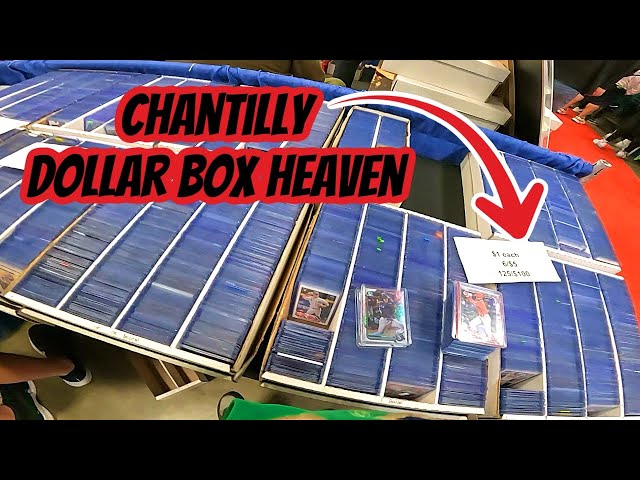 Dollar Box Shopping At The Chantilly Sports Card Show Day 2