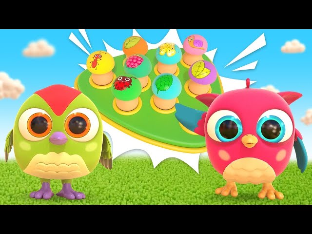 Baby cartoons full episodes & baby videos for kids. Hop Hop the owl & a new toy for babies.