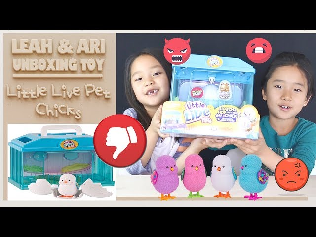 Leah & Ari Unboxing Toy - Little Live Pet Chicks #toy#Kids#LittleLive 장남감 리뷰