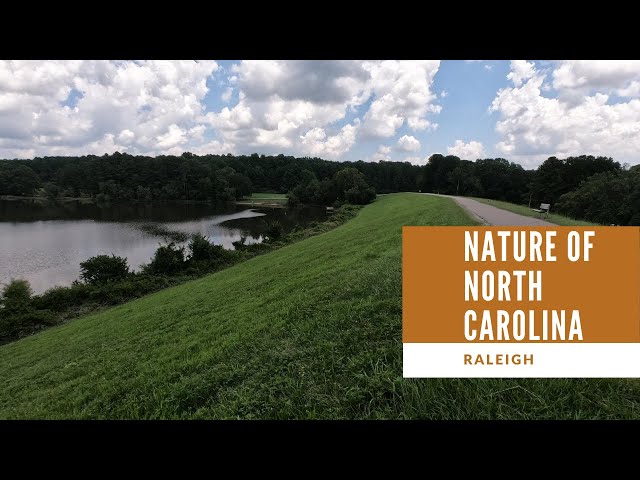 Nature of North Carolina, Raleigh | Zero Point |