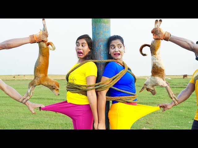 New Entertainment Top😎 Funny Video Best Comedy in 2024 Episode 317 By Busy Fun Ltd