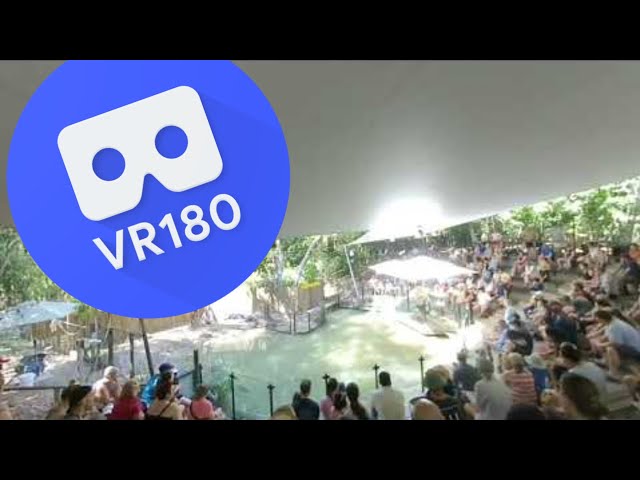 [VR180 VR 3D] Snake Show @ Hartley's Crocodile Adventures | Meta Oculus Pico Family Virtual Reality