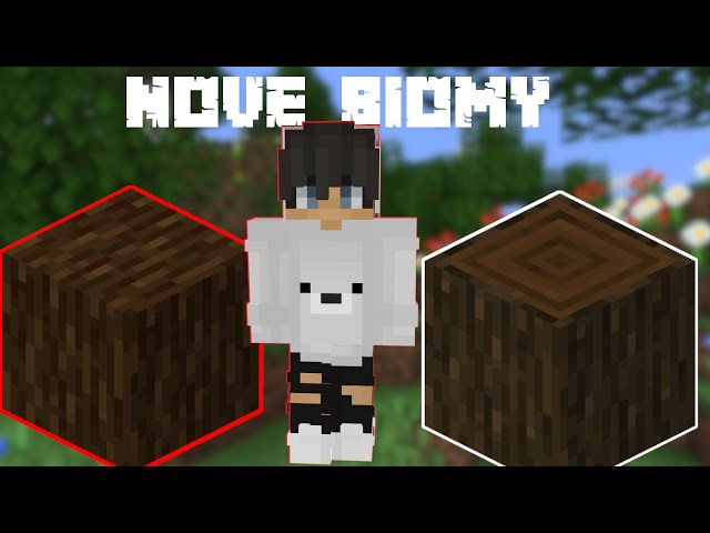 Objevil jsem nový BIOM v Minecraftu