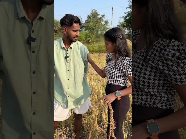 धान ल बेचाये दे😛#cgshorts #fanyvideo #cgcomedysong #bysona9211