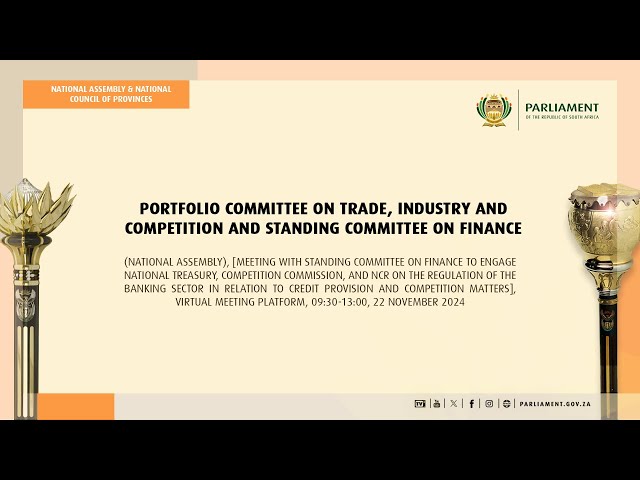 PC on Trade, Industry and Competition and SC on Finance, 22 November 2024