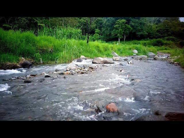 NO ADS 🌊 Gentle Water Flowing Over Rocks |  Crystal Clear Stream | 8 Hours Nature Sounds 4K