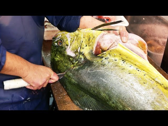 Japanese Street Food - GIANT MAHI MAHI FISH Japan Seafood