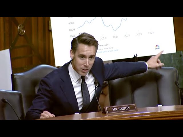 Hawley Calls Out Credit Card Companies For Killing Competition & Giving Shaft To Small Business