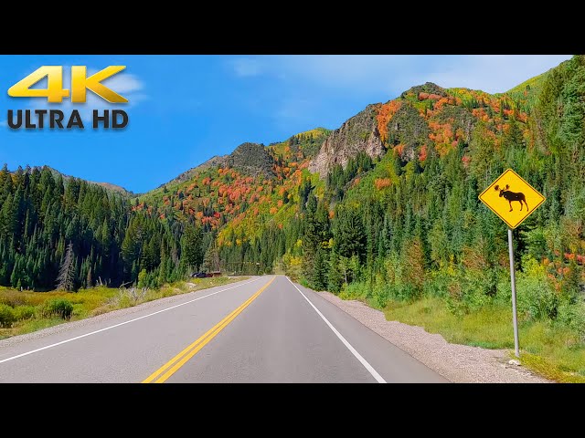 Park City to Salt Lake City Utah Fall Colors Scenic Mountain Drive 4K Big Cottonwood Canyon Utah