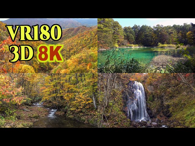 [ 8K 3D VR180 にはめ込んだ 昔の3D映像] 裏磐梯の紅葉 Old 3D images of Autumn leaves inserted into 3D VR180