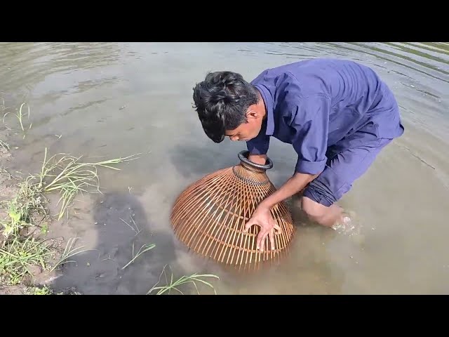 polo fishing video || village polo fishing video || Fish video || amazing fishing video