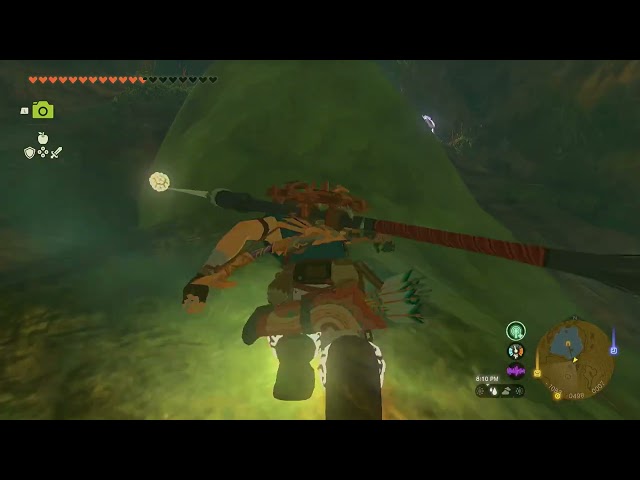 Ancient Tree Stump 1/2 | The Legend of Zelda: Tears of the Kingdom