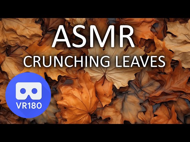 VR180 ASMR Crunching Leaves | No Talking | Virtual Reality / VR180 Version