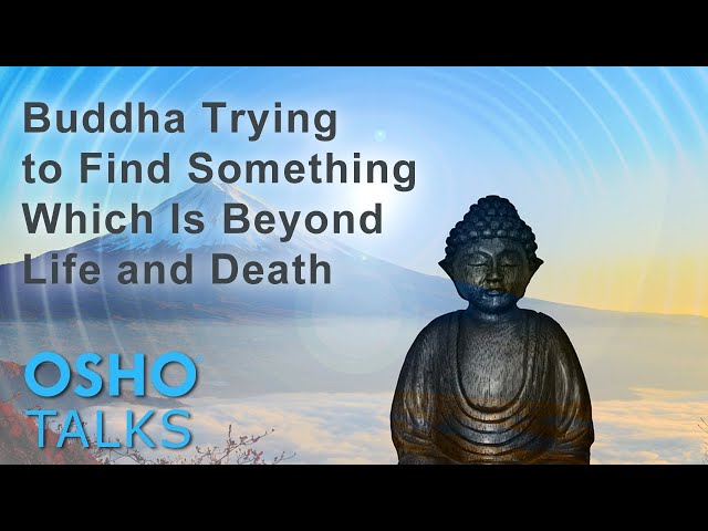 OSHO: Buddha – Trying to Find Something Which Is Beyond Life and Death