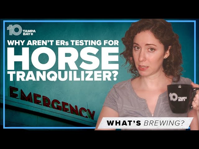 ER testing gap leaves people in the dark on horse tranquilizer