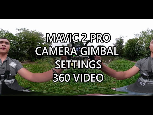 DJI Mavic 2 Pro Camera Gimbal Settings