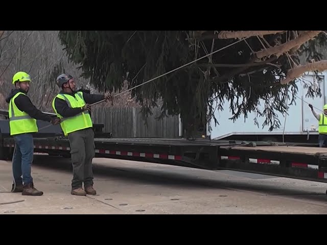 Man who donated 2024 Rockefeller Christmas tree working to recover from stroke before lighting