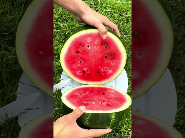 Want a fun way to eat watermelon and lose weight? Watch this!