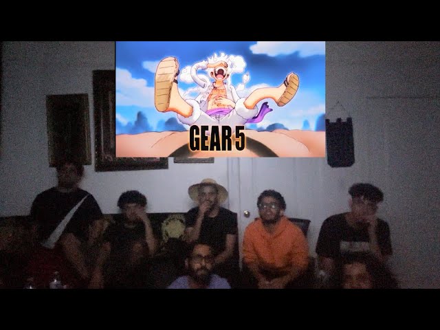 Luffy Gear 5 Reaction (One Piece 1071)