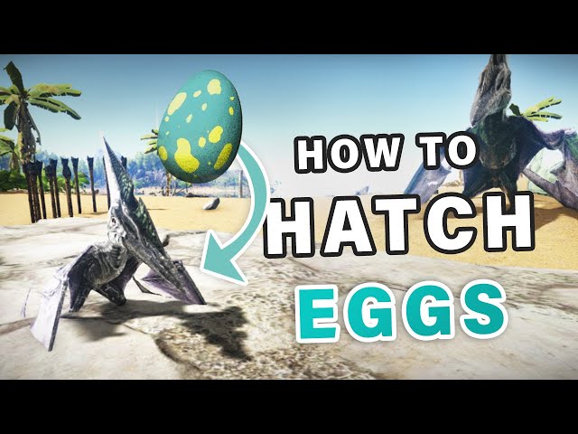 How to Hatch Eggs ► Ark Survival Evolved