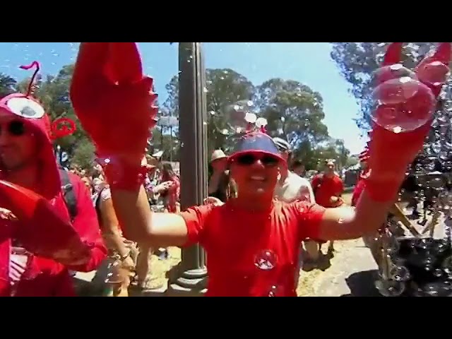 Bay 2 Breakers Lobsters In a Bubble Machine