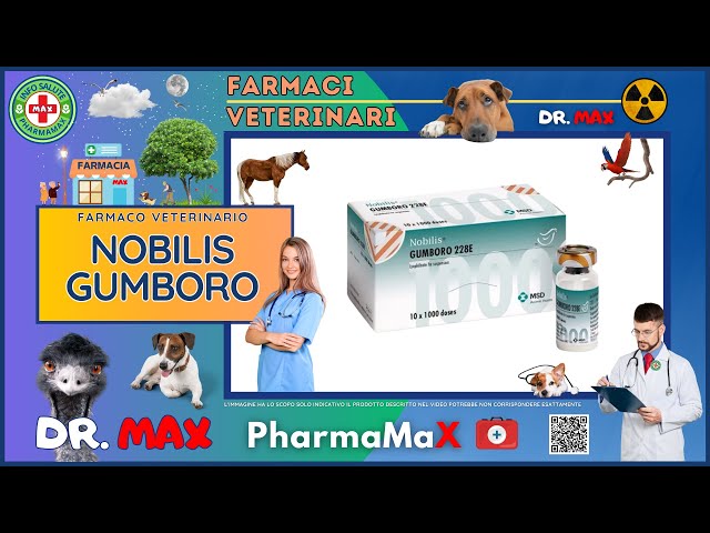 🐶 NOBILIS GUMBORO Farmaco Veterinario a cosa serve ? - Foglietto Illustrativo 👔 Dr. MAX