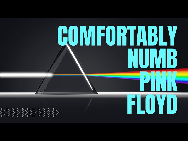 Live "Comfortably Numb" Cover Song, by Pink Floyd, in Virtual Reality Video (VR180 3D)