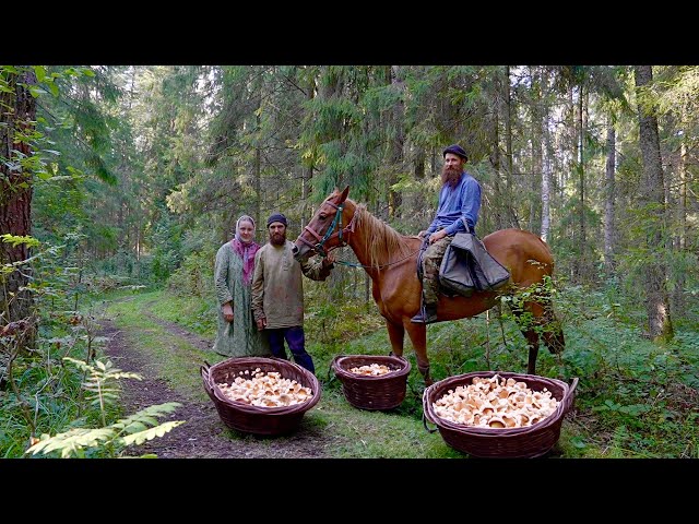 How Old Believers live in Russia Today. Life in remote Russian Village. 2024