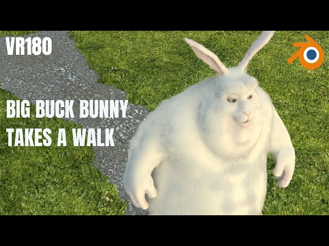 VR180 Big Buck Bunny takes a sunset walk in the country, Made in Blender EEVEE.