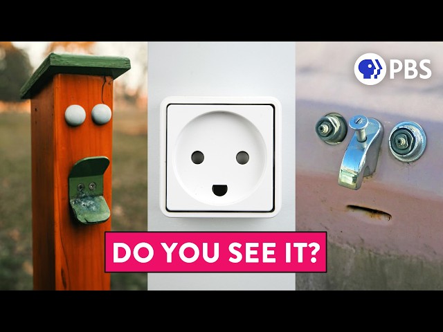 Why You See Faces in Things