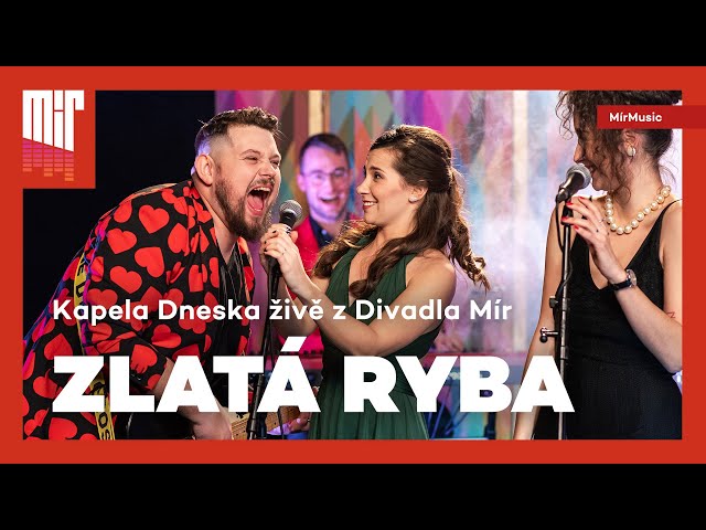 Kapela Dneska – Zlatá ryba (silvestr z Divadla Mír) | MírMusic