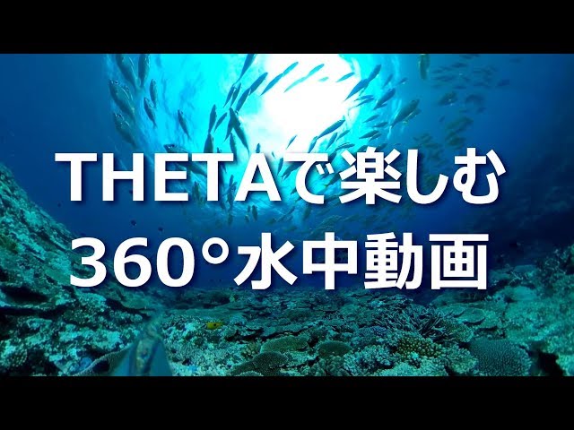 THETAで楽しむ360°水中動画