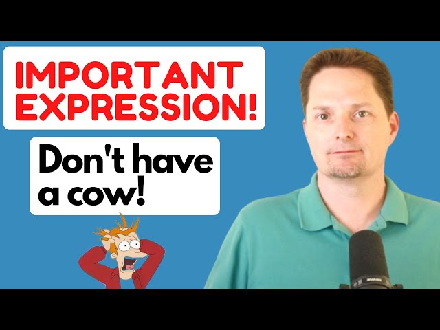 American pronunciation,American accent training,American English, HAVE A COW VS. FREAK OUT VS. PANIC