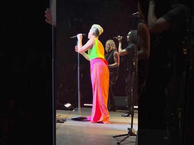 P!nk - I Am Here (Live at MSG)