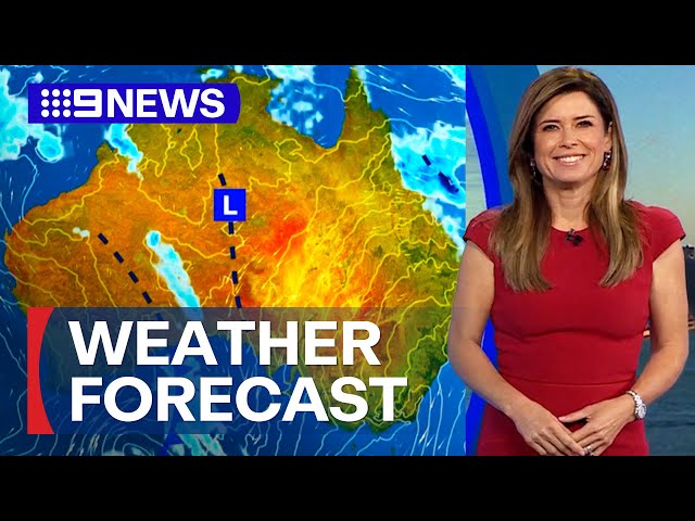 Sydney Weather Update: Blue skies and sunshine for Sydney | 9 News Australia