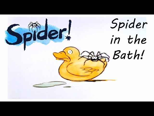 Spider! Episode 1 | Spider in the Bath | Full Episode | Spiders | Animal friends | music for kids