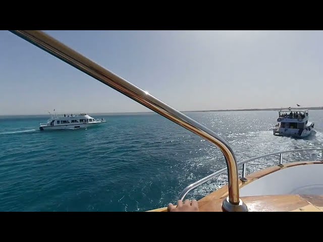 May 2024 Dolphin Tour Egypt