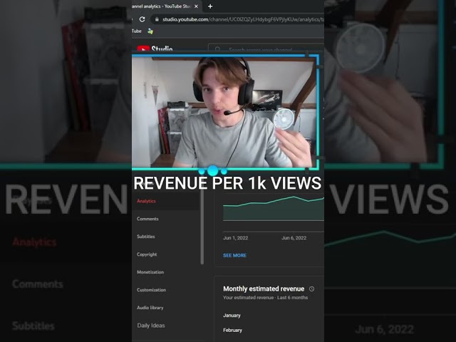 How Much MONEY A Small Youtuber MAKES From AD REVENUE