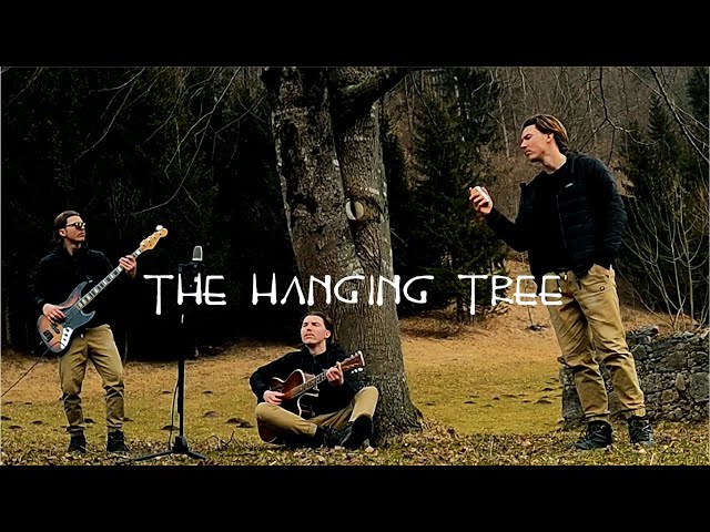 The Hanging Tree (acoustic cover)